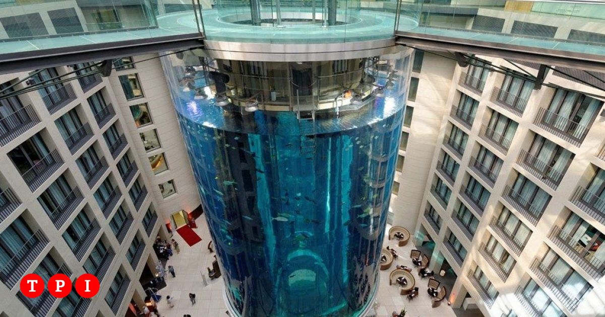 Berlin, the world's largest cylindrical aquarium exploded it contained