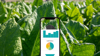 Immagine di copertina