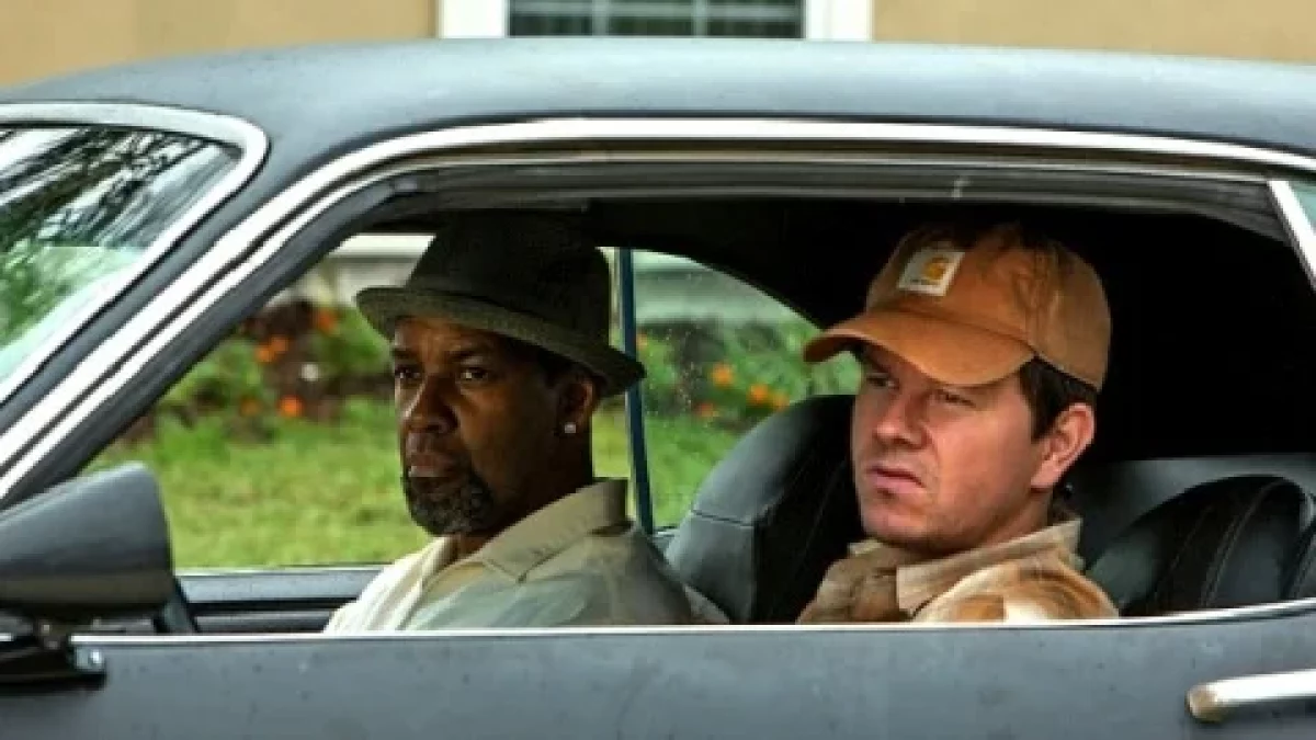 cani sciolti trama cast film sky cinema