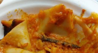 Immagine di copertina