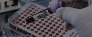 Immagine di copertina