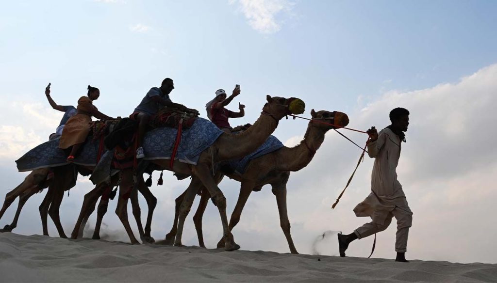 influenza cammello qatar mondiali