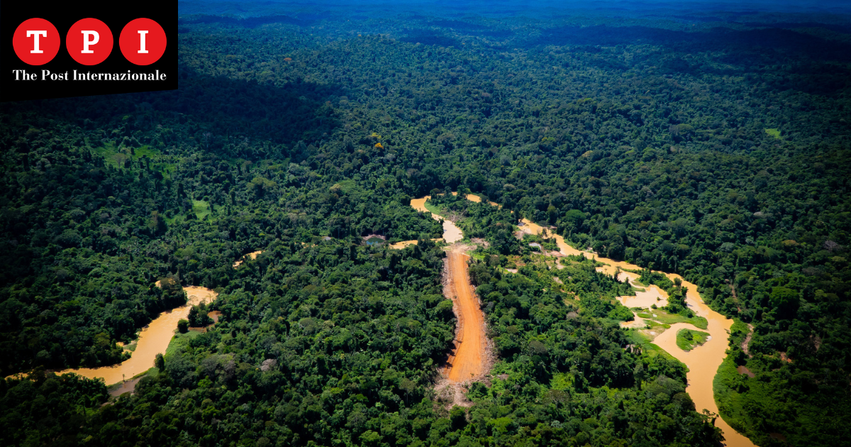 Amazzonia strada illegale garimpeiros catrimani