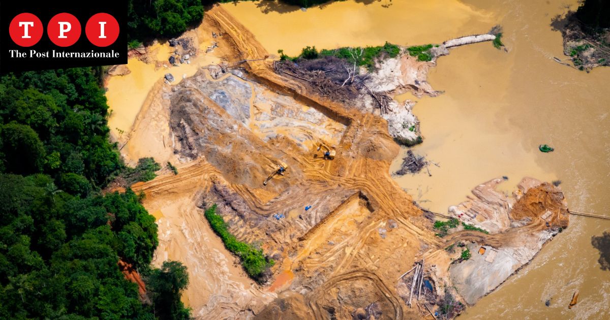 Amazzonia strada illegale oro catrimani