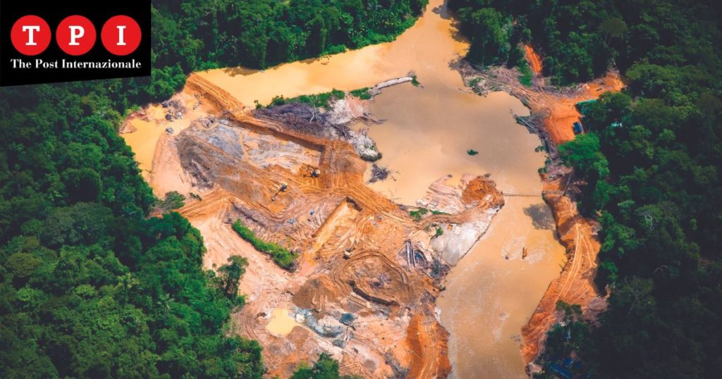 Amazzonia strada illegale yanomami rio catrimani oro garimpeiros