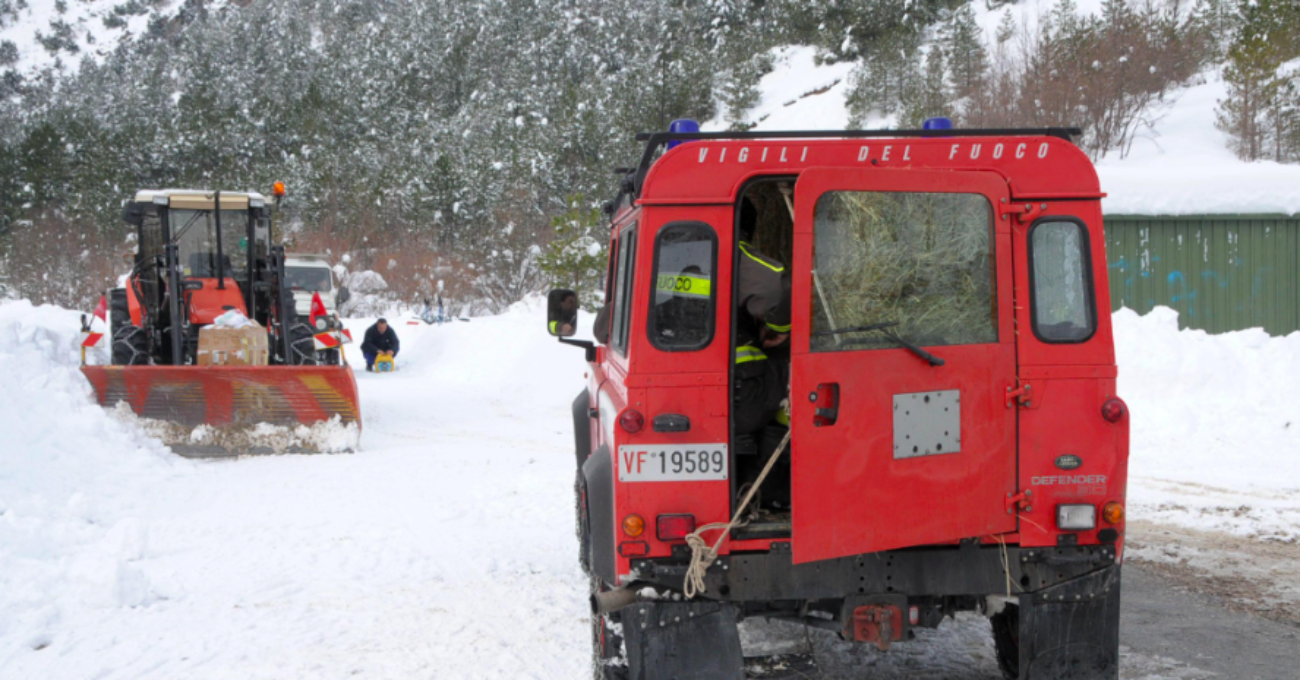 arezzo allevatrice morta