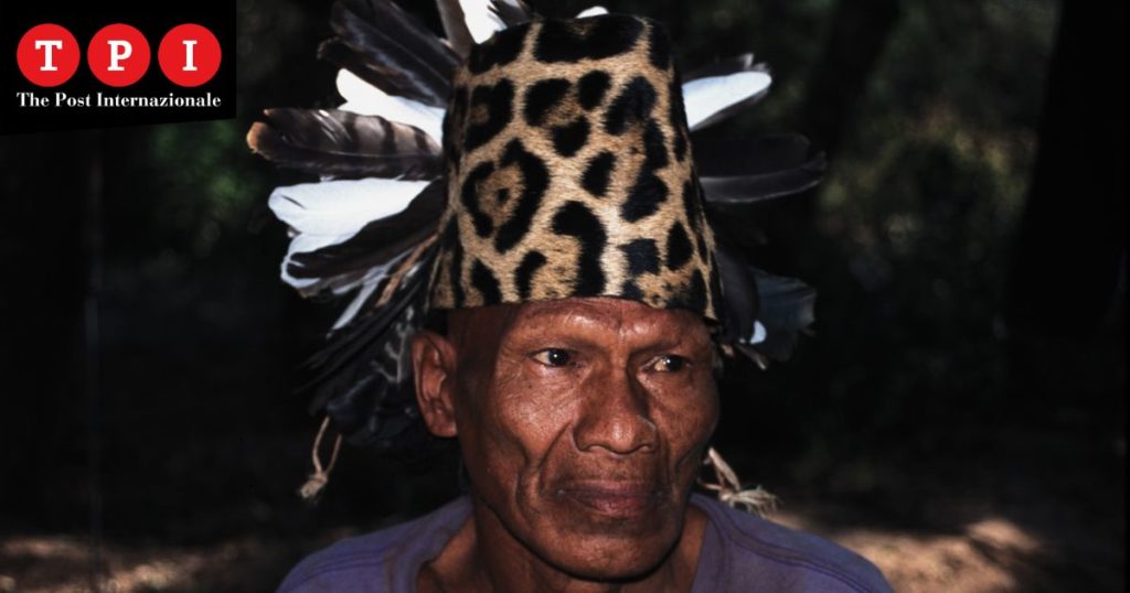 ayoreo paraguay deforestazione pelli pelle pellame pasubio survival international