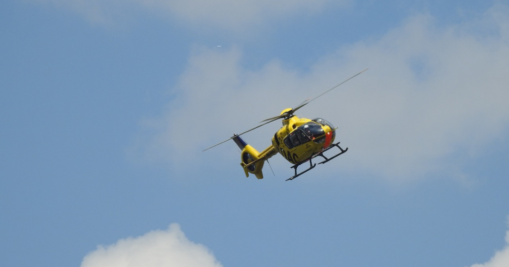 bambino cane azzannato