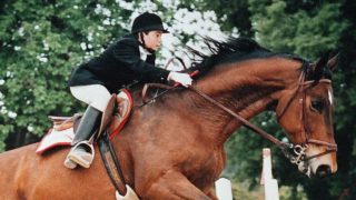 Immagine di copertina