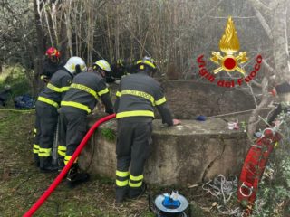 Immagine di copertina