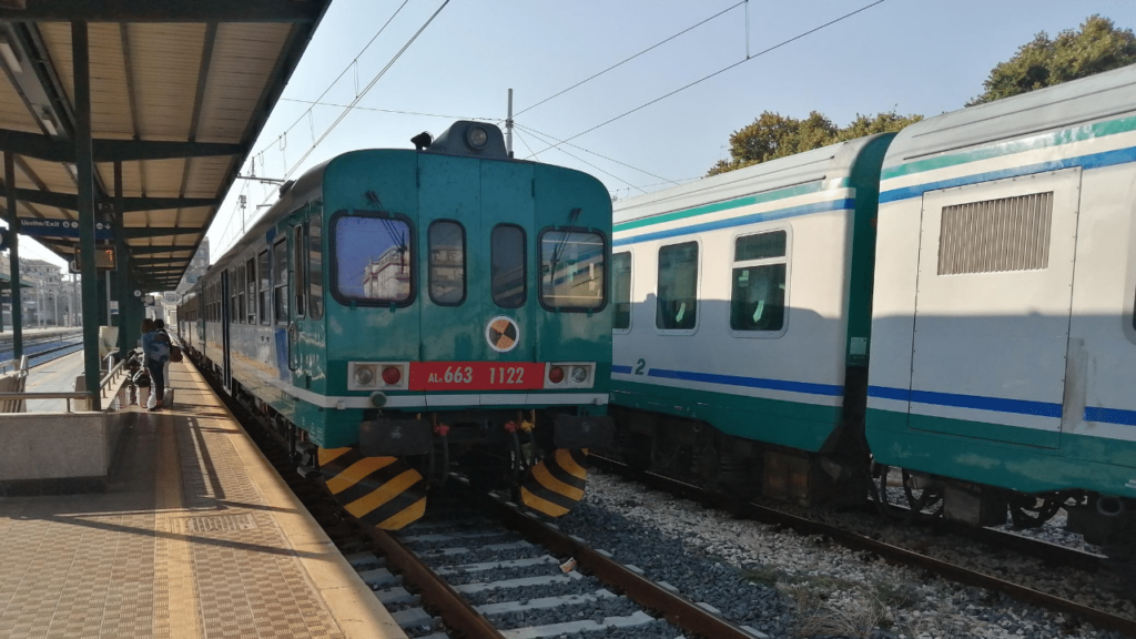 treno felpa
