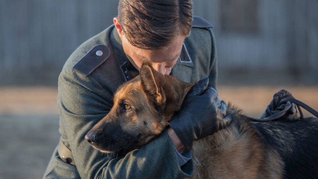 zack cane eroe trama cast quante puntate streaming rai 1