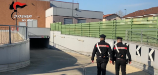 Immagine di copertina