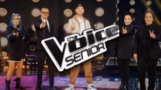 Immagine di copertina