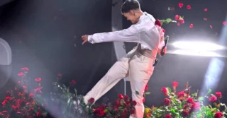 Immagine di copertina