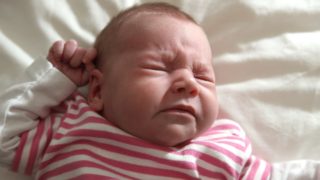 Immagine di copertina