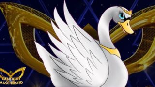 Immagine di copertina