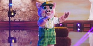 Immagine di copertina