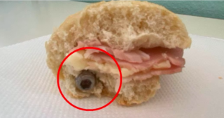 Immagine di copertina