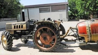 Immagine di copertina