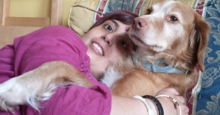 Immagine di copertina