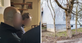 Immagine di copertina