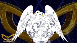 Immagine di copertina