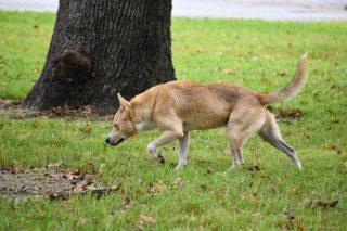 Immagine di copertina