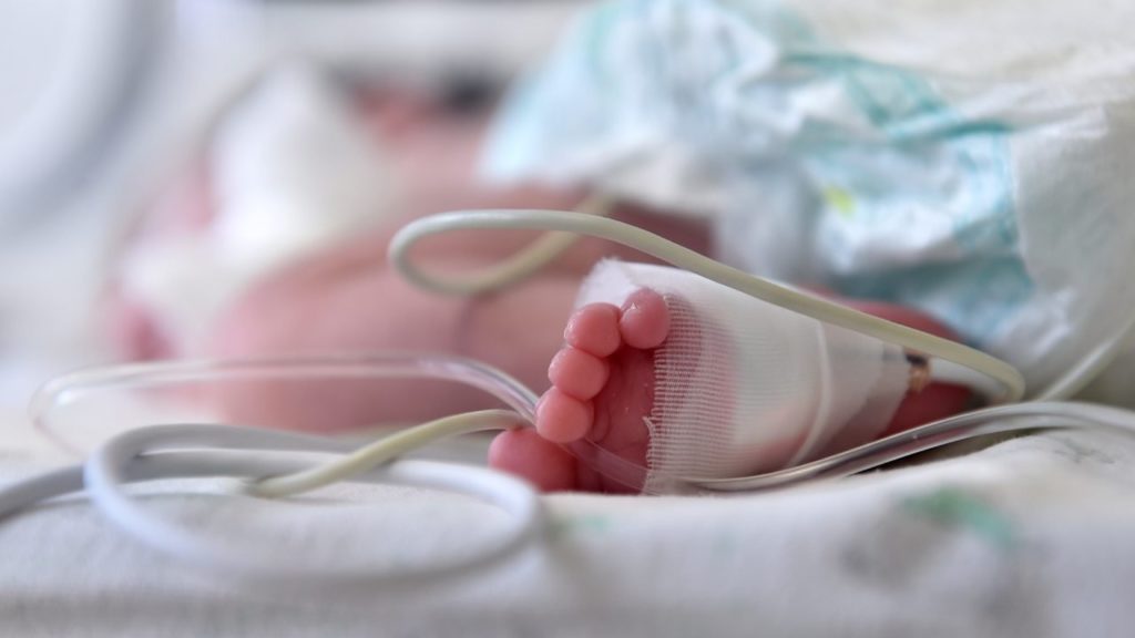 neonato morto circoncisione roma