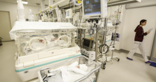 Immagine di copertina