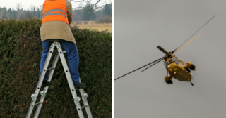 Immagine di copertina