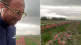 Immagine di copertina