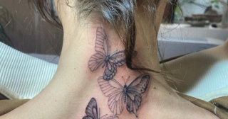 Immagine di copertina