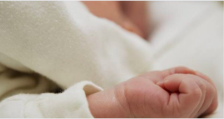 Immagine di copertina