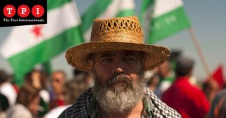 Immagine di copertina