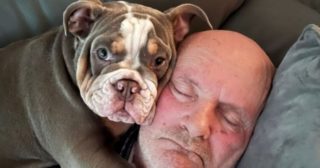 Immagine di copertina