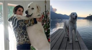 Immagine di copertina