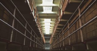 Immagine di copertina