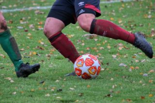 Immagine di copertina