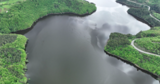 Immagine di copertina