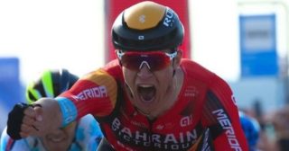 Immagine di copertina