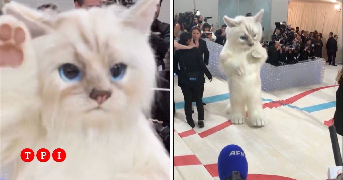 Jared Leto si presenta al Met Gala vestito da gatto VIDEO