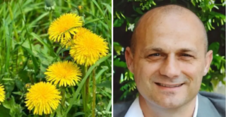 Immagine di copertina