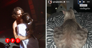 Immagine di copertina