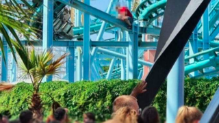 Immagine di copertina