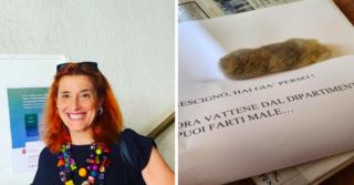 Immagine di copertina