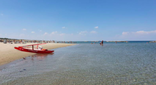 Immagine di copertina