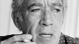 Immagine di copertina