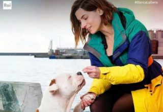 Immagine di copertina