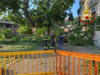 Immagine di copertina